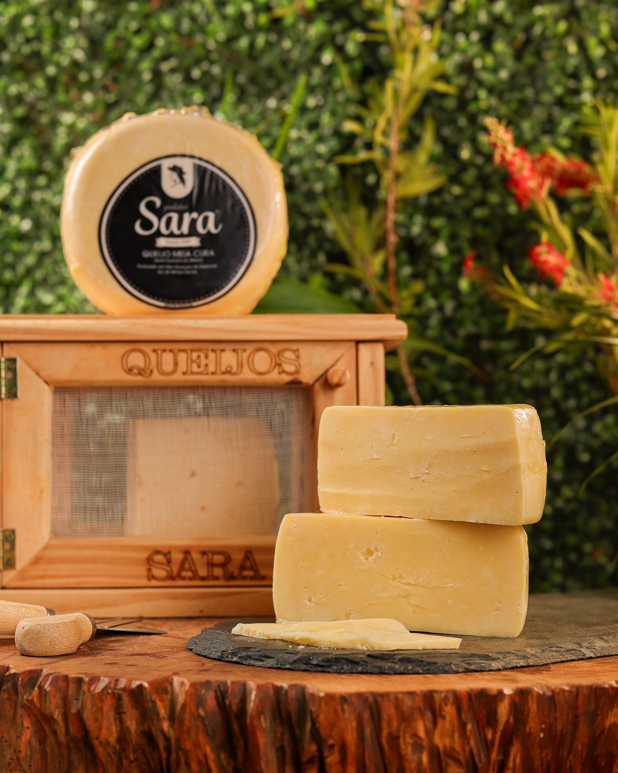 Queijo Meia Cura