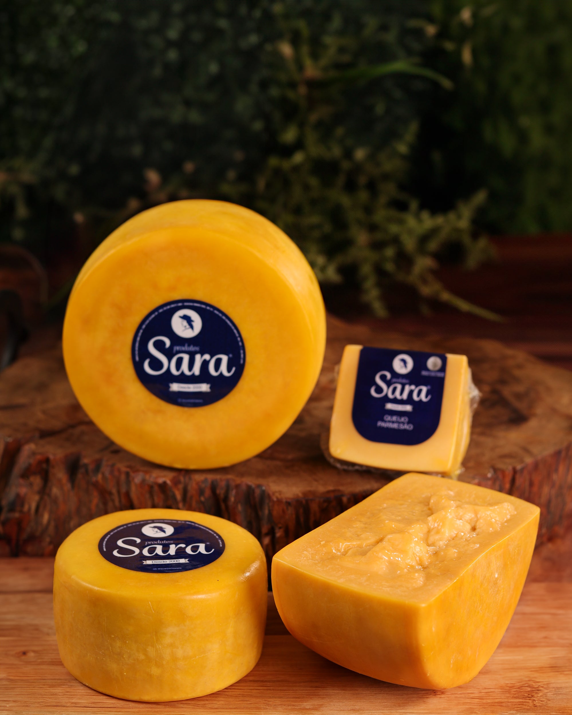 Sara Reserva